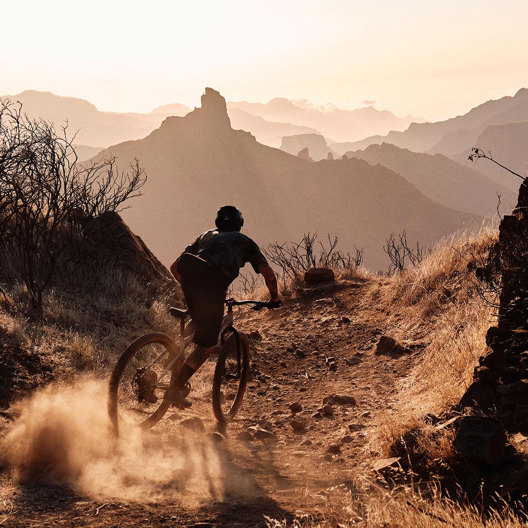 VERSATILE FOR ALL TERRAINS