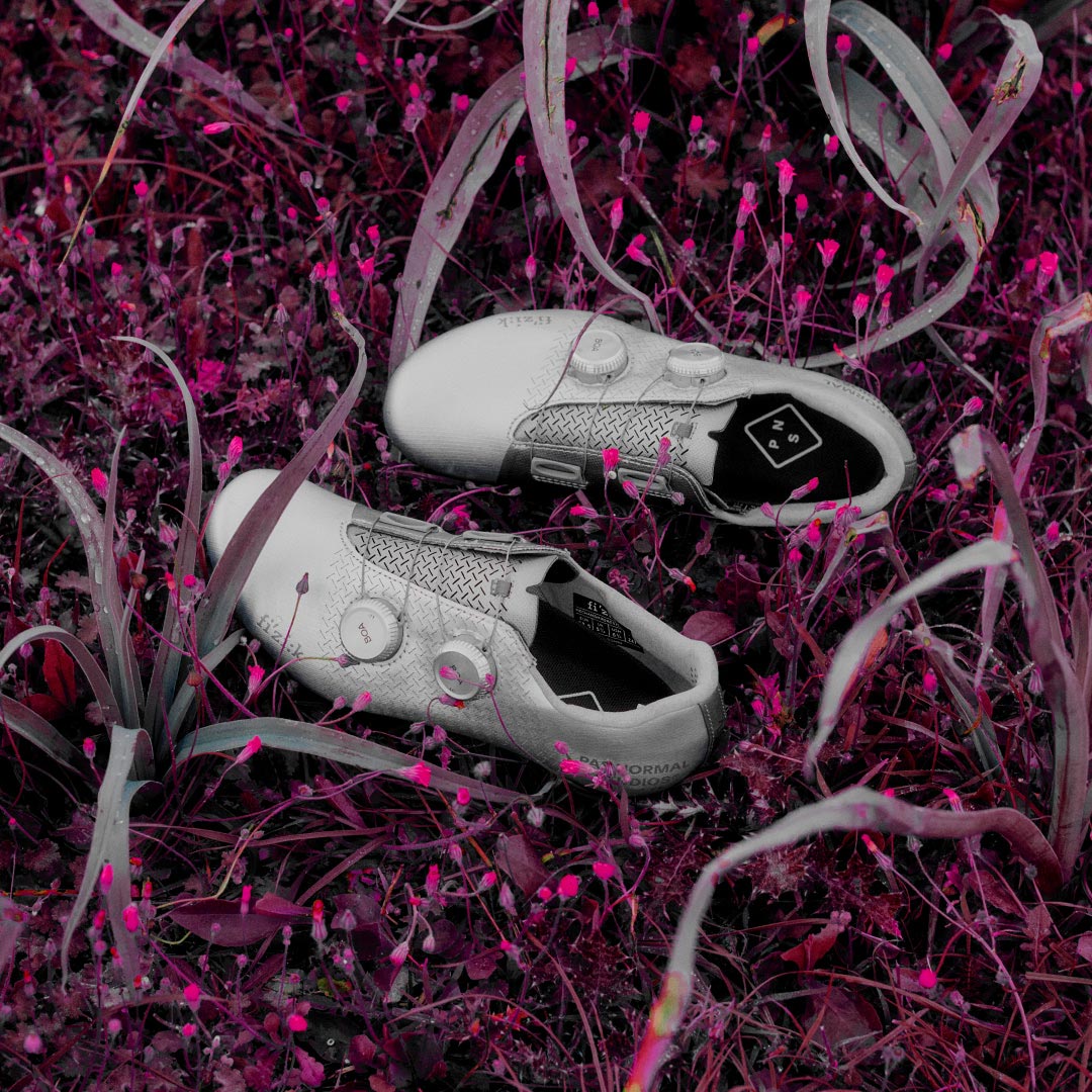 DIAL IN THE PERFORMANCE