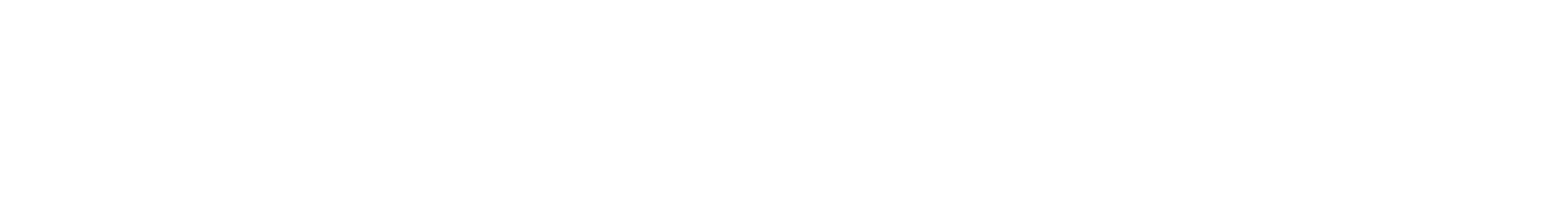 Logo Overlay